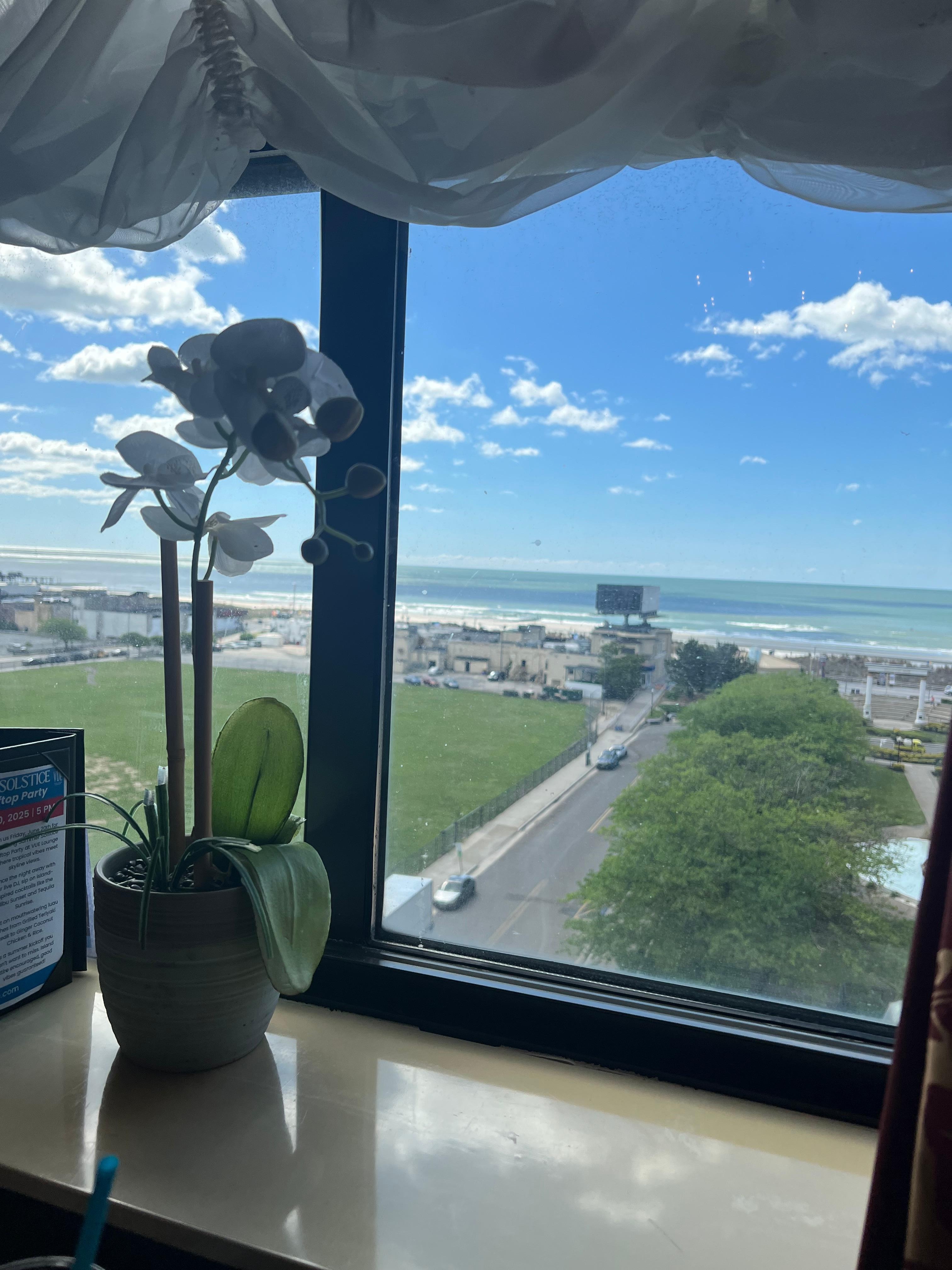 View from twenties