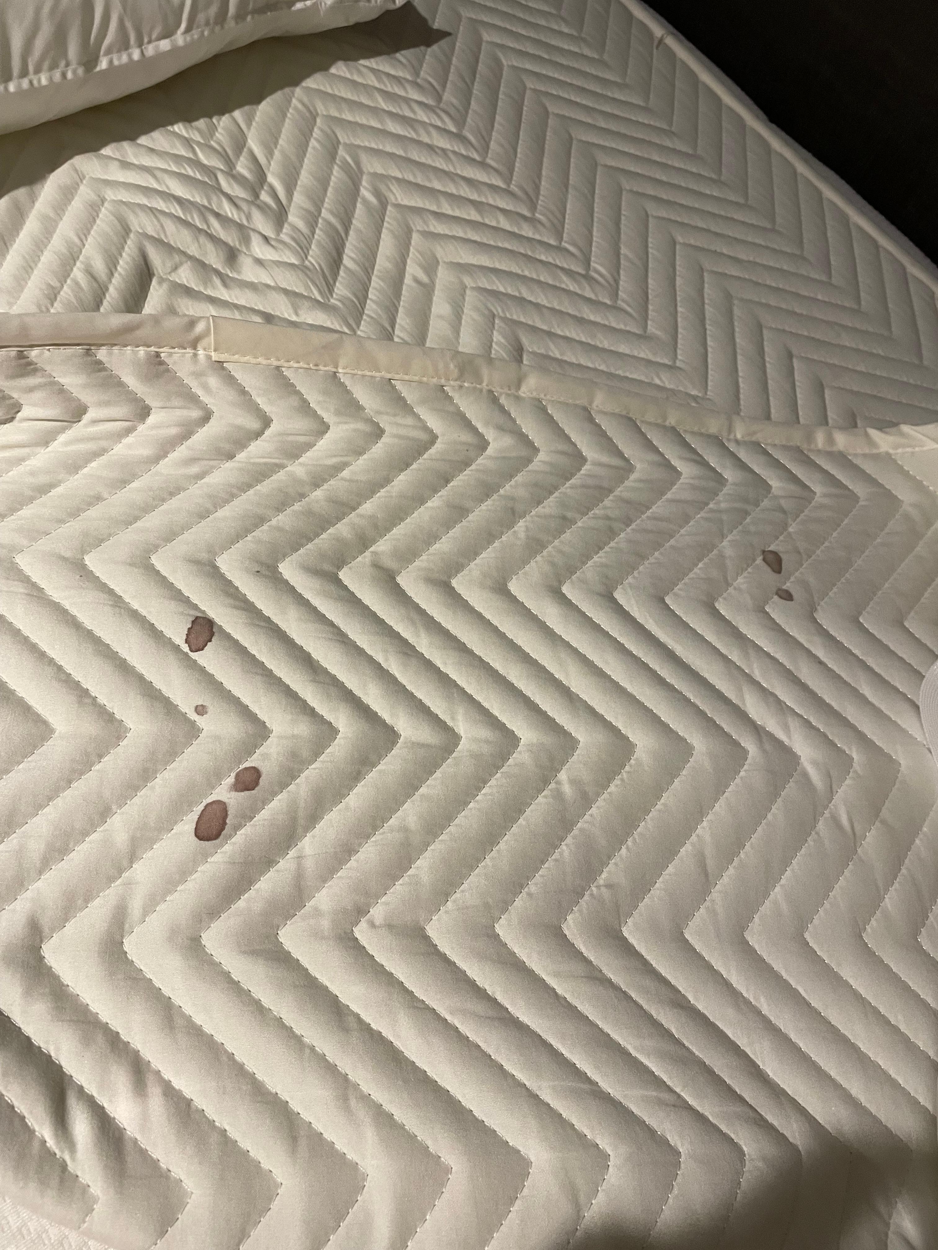 Blood stained mattress topper 