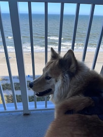 Billy enjoying the view