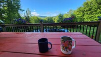 Morning on the deck