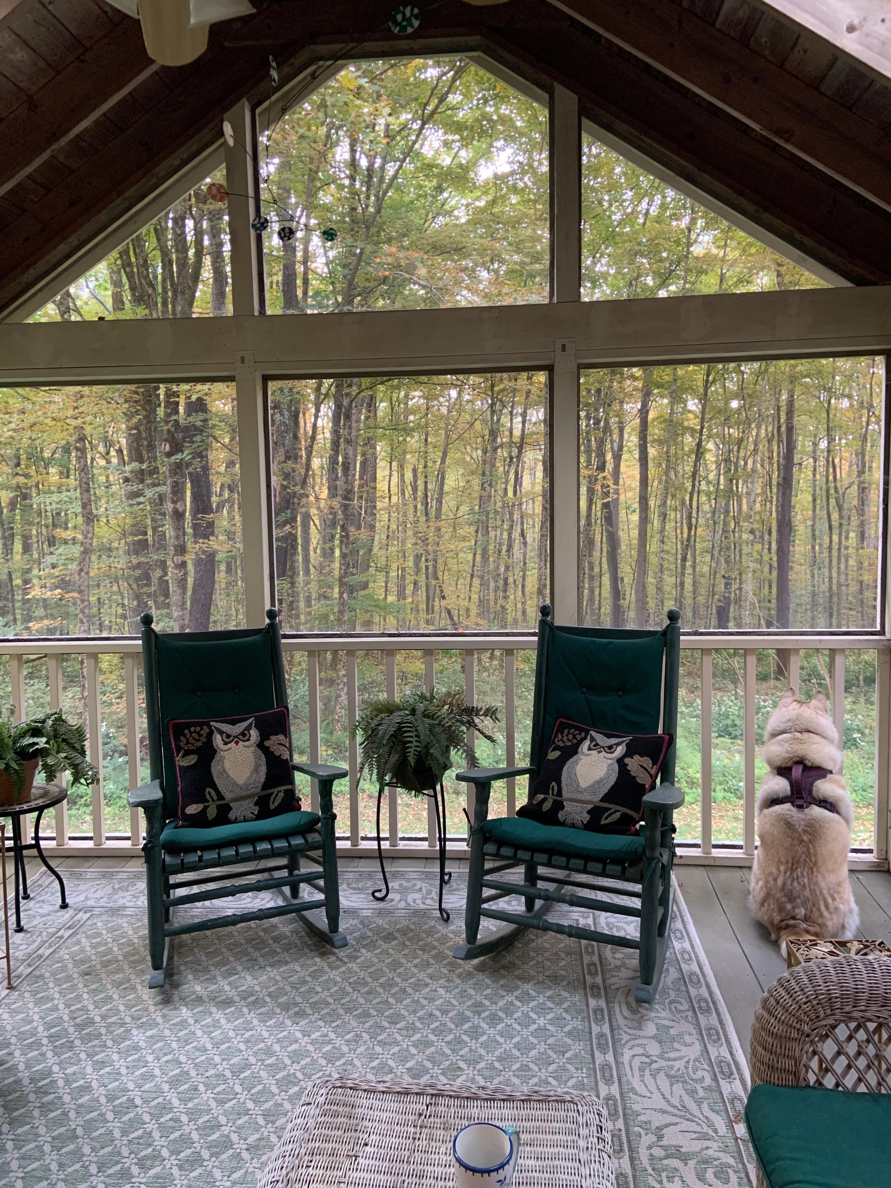 Screened porch with view of woods.