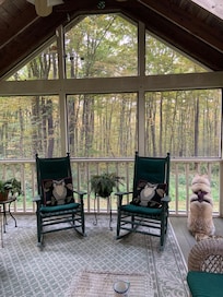 Screened porch with view of woods.