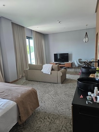 Lounge/bedroom