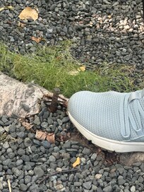 Metal rebar sticking up in path to dock