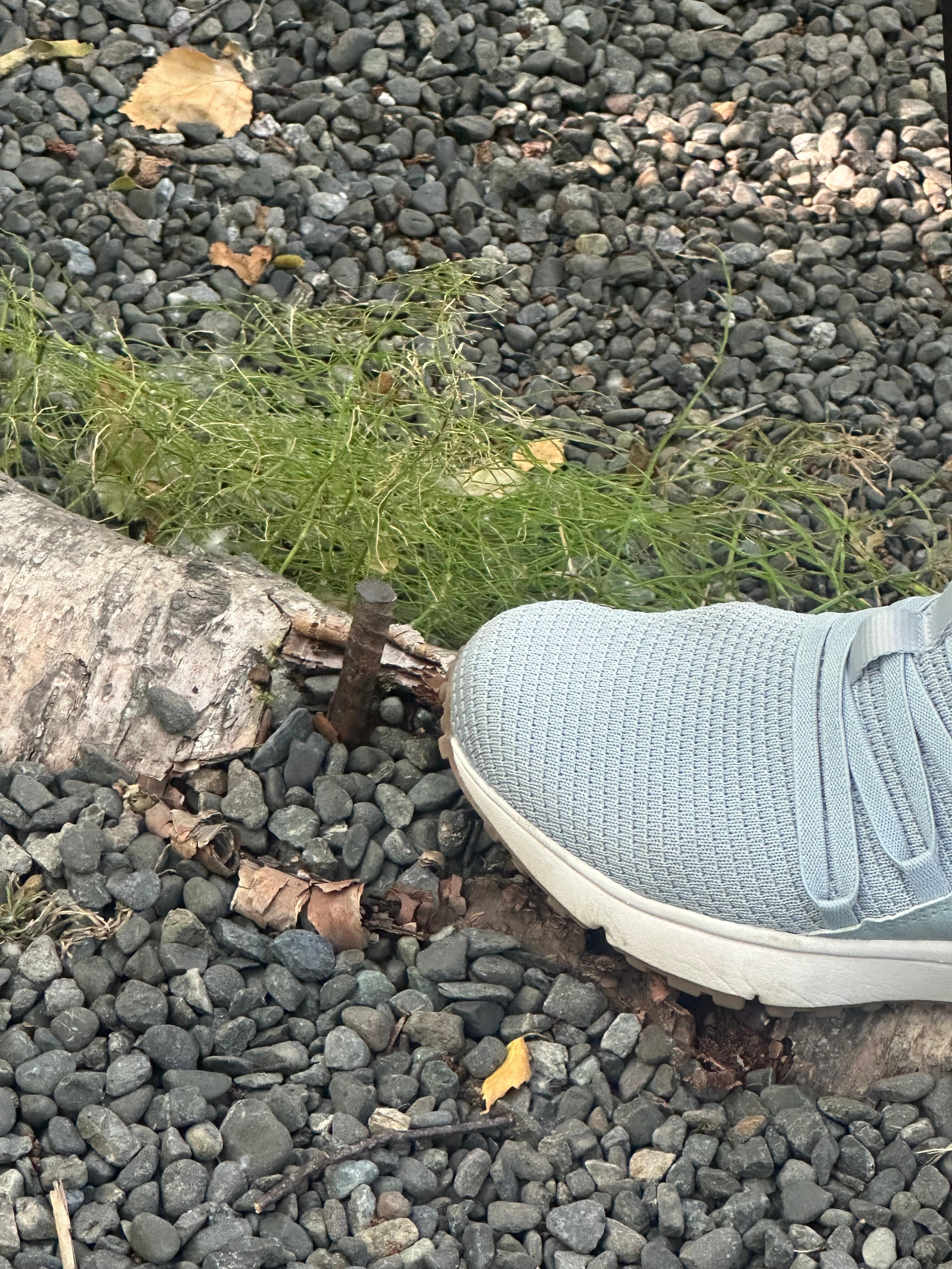 Metal rebar sticking up in path to dock