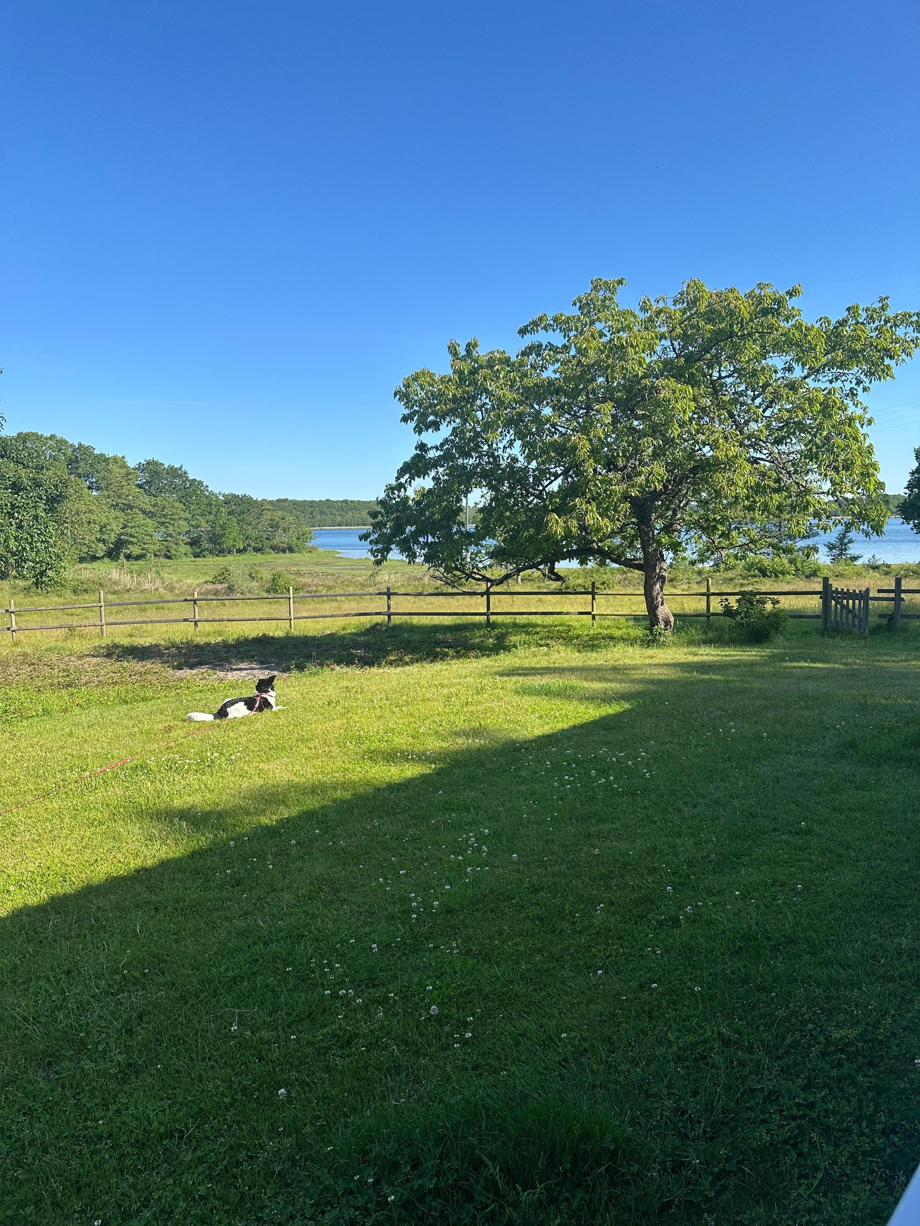 Der morgendlicher Sonnenaufgang 