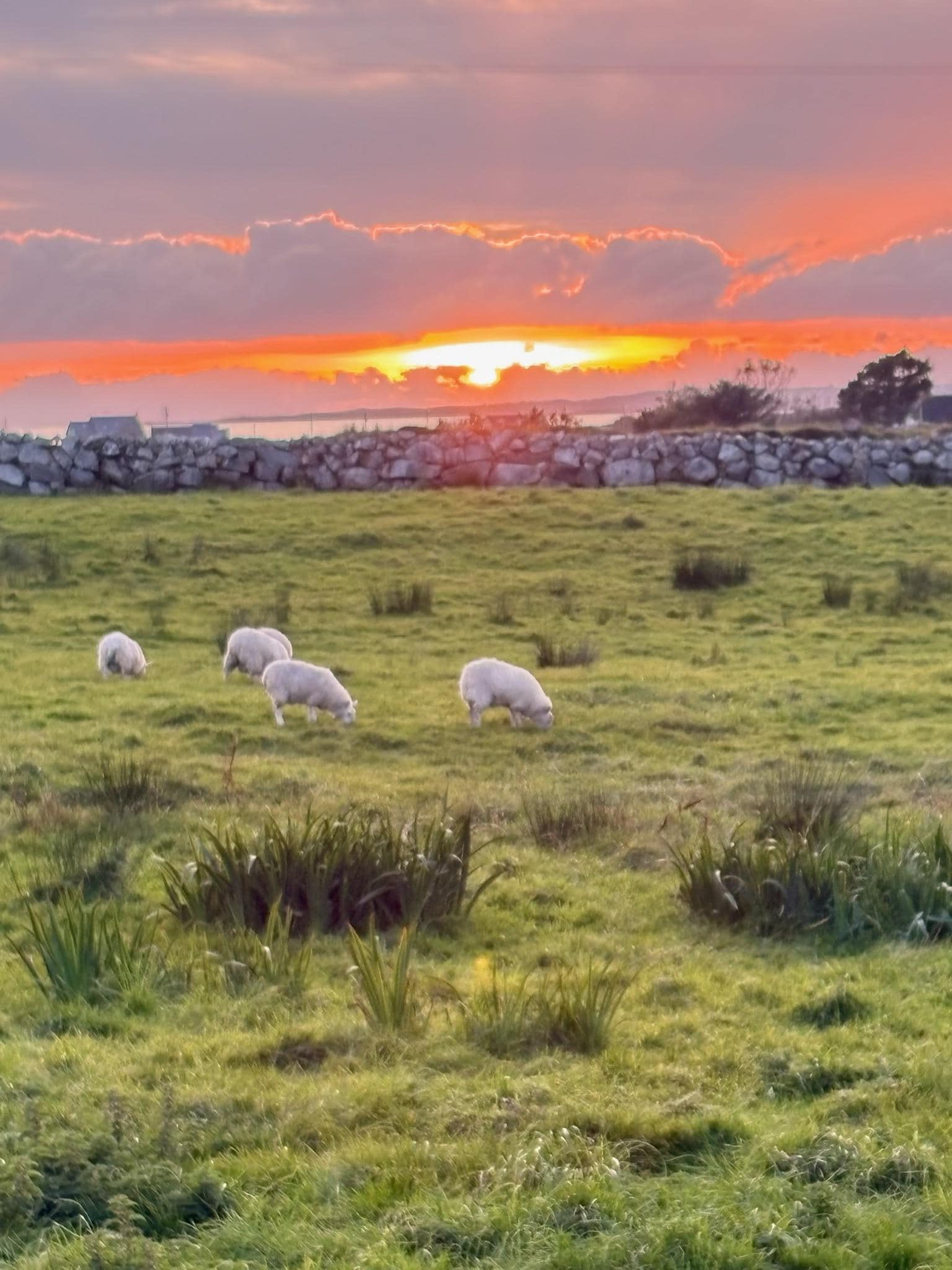 Sunset in Ballynahown