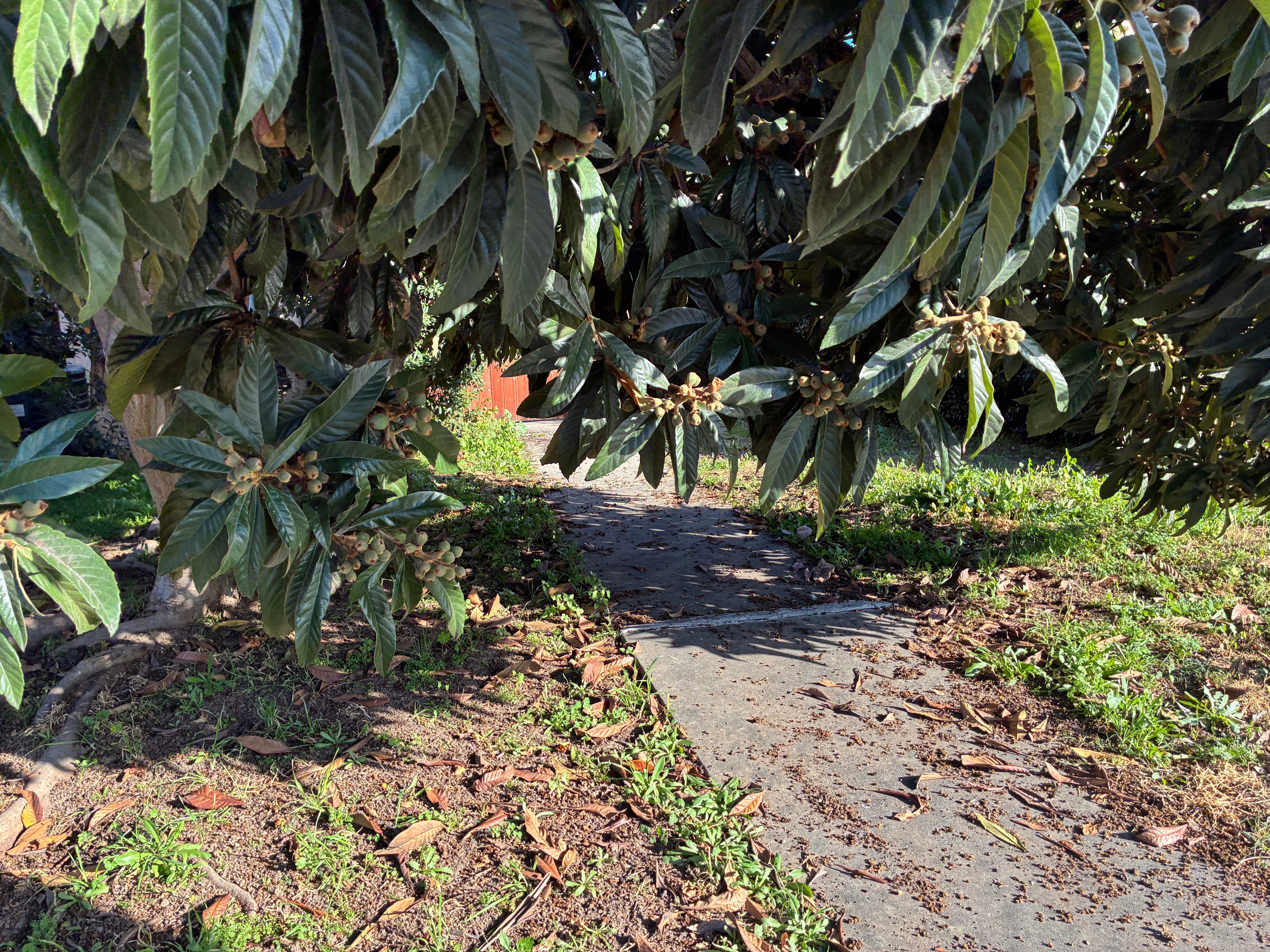 Another viewpoint from the walkway