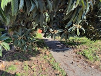 Another viewpoint from the walkway