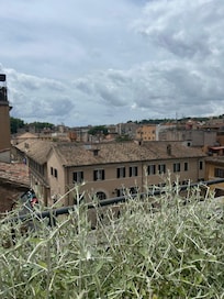 A view from the roof terrace