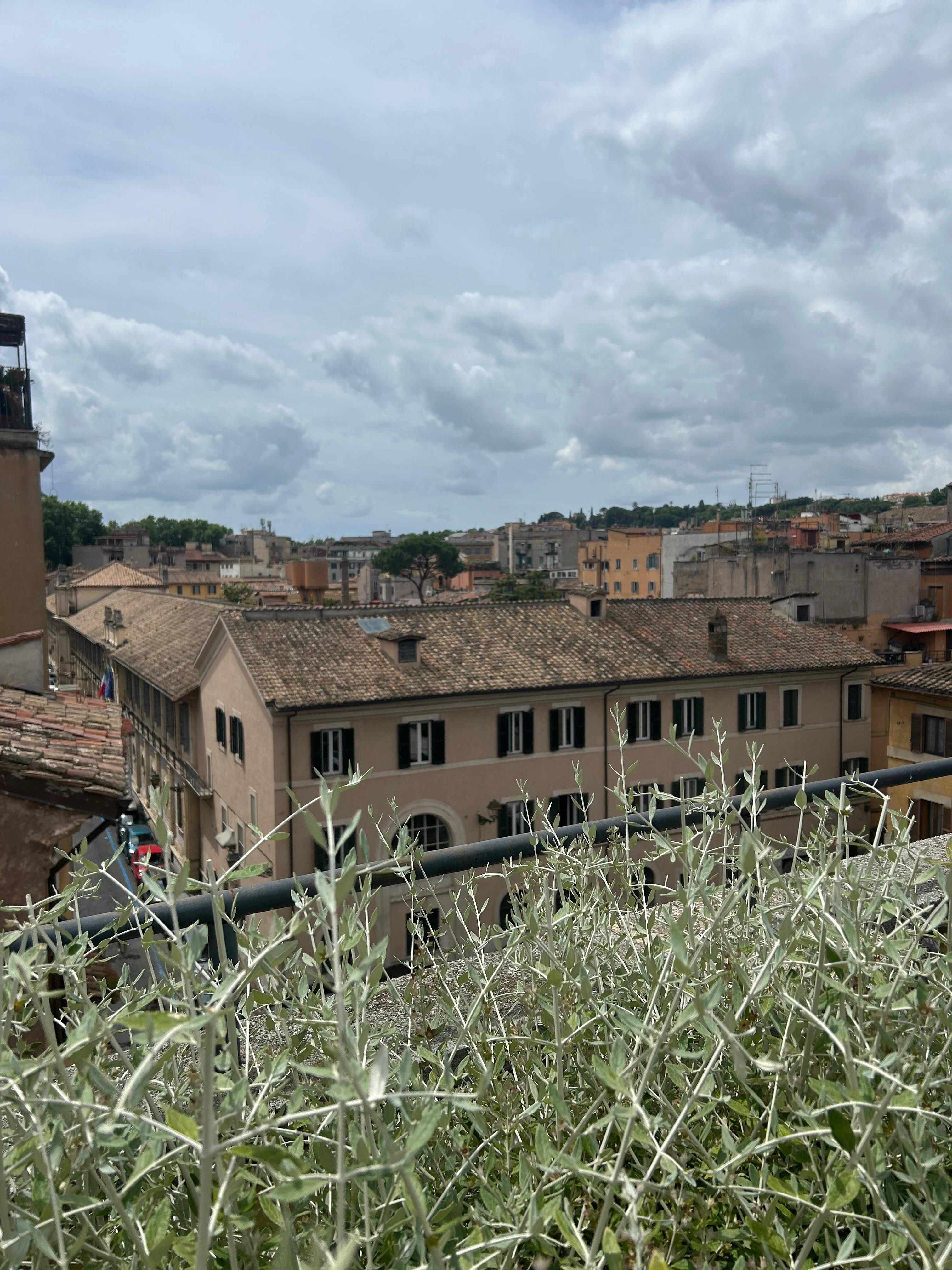 A view from the roof terrace 