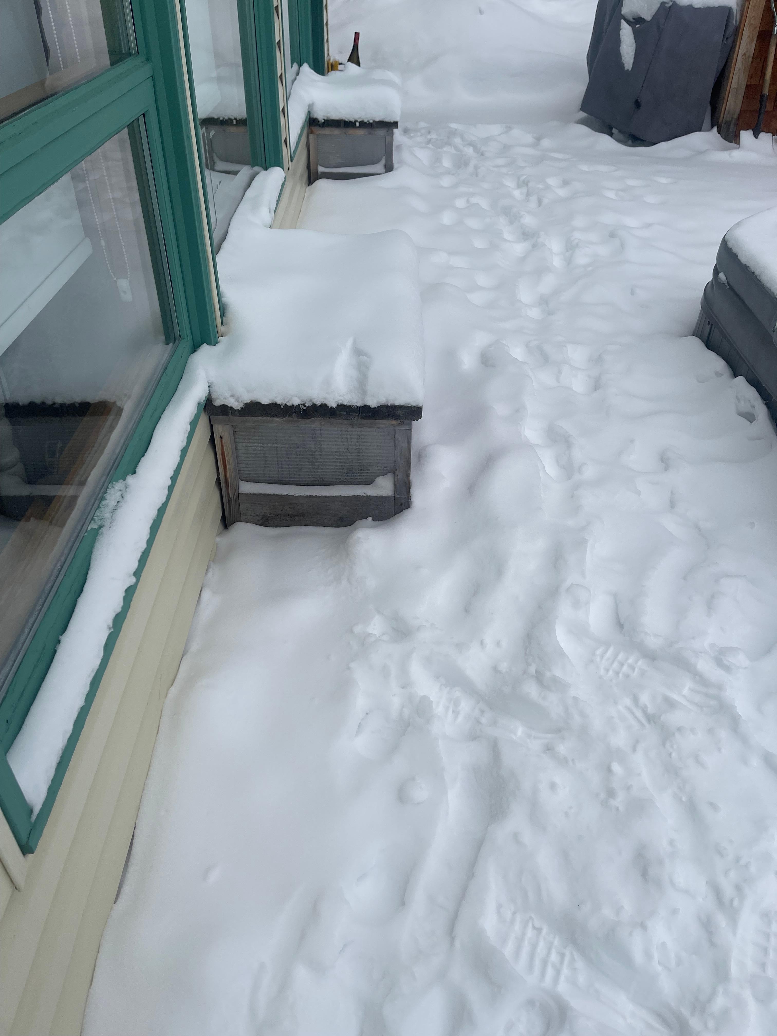 The bedroom windows opened up under these benches on the back deck. They were nailed shut. 