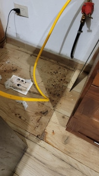 Back of Stove, main kitchen