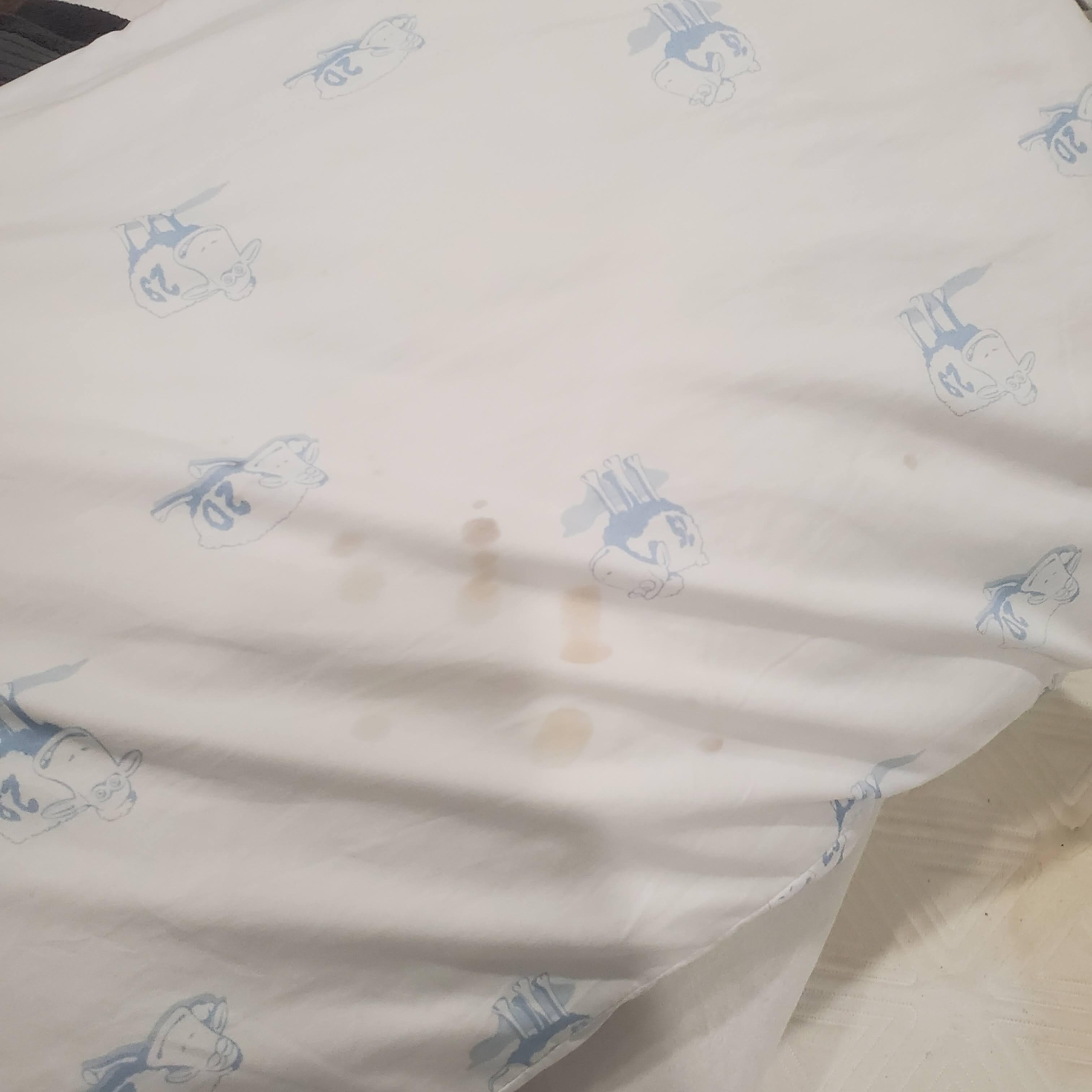 Blood on pillows
