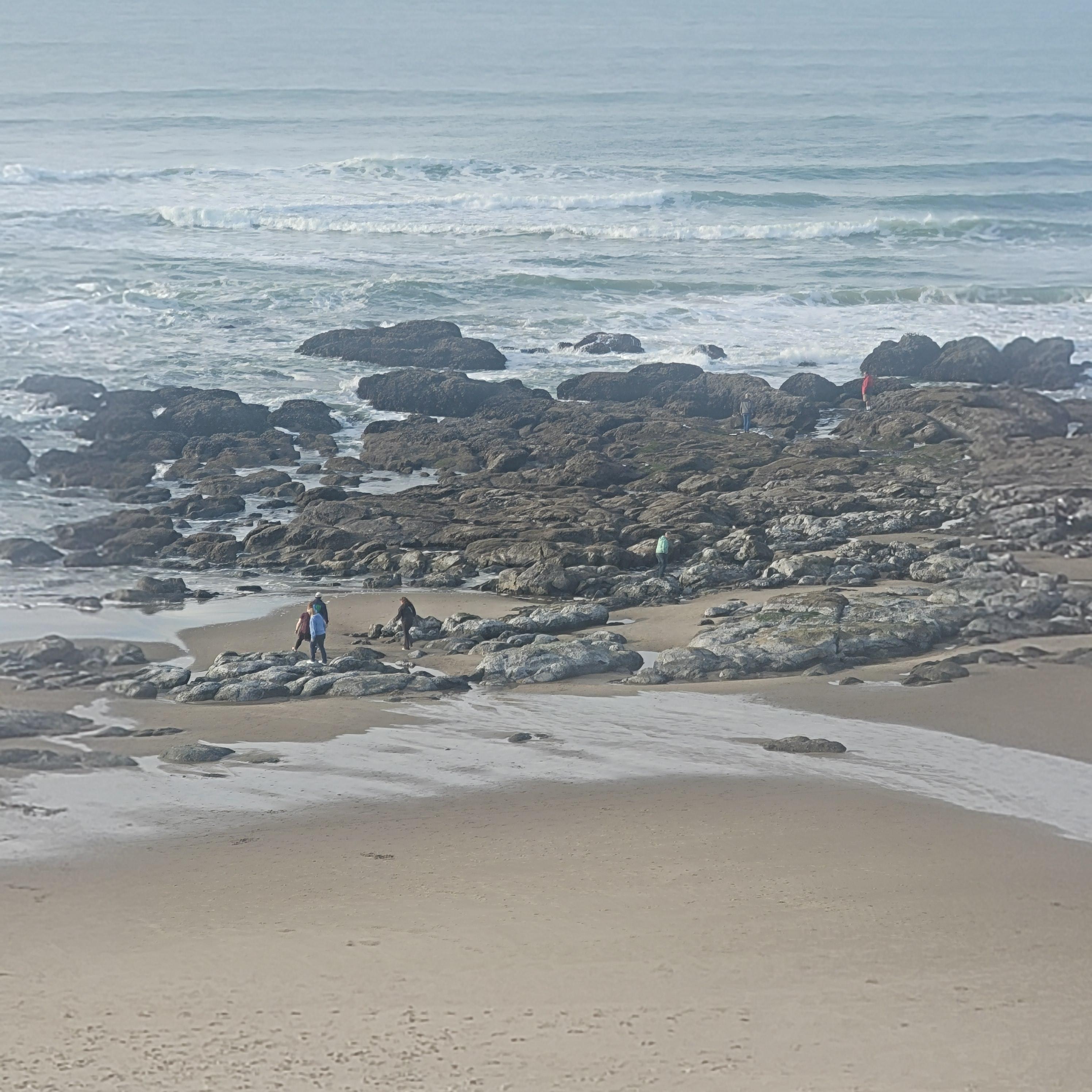 Low tide for great tidal pools