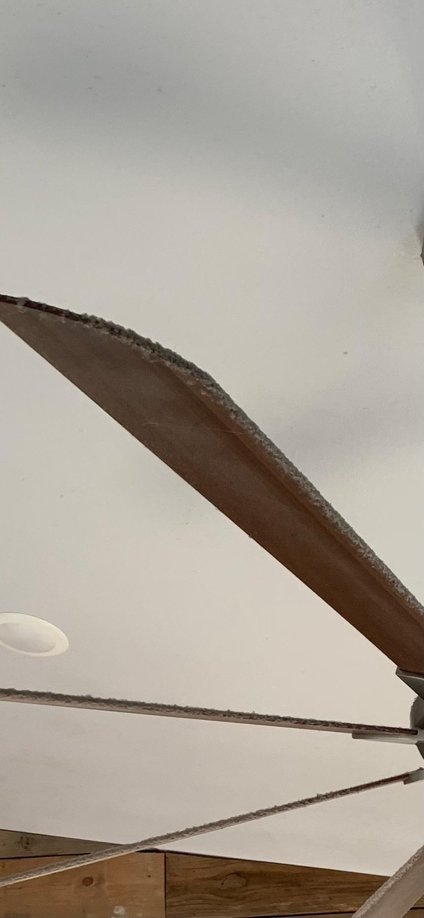 filthy cake-on dirt on the ceiling fan in the living area