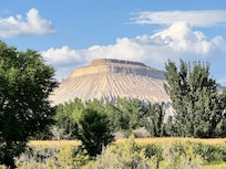 View from the walking trail