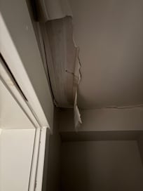 Ceiling in main floor bedroom