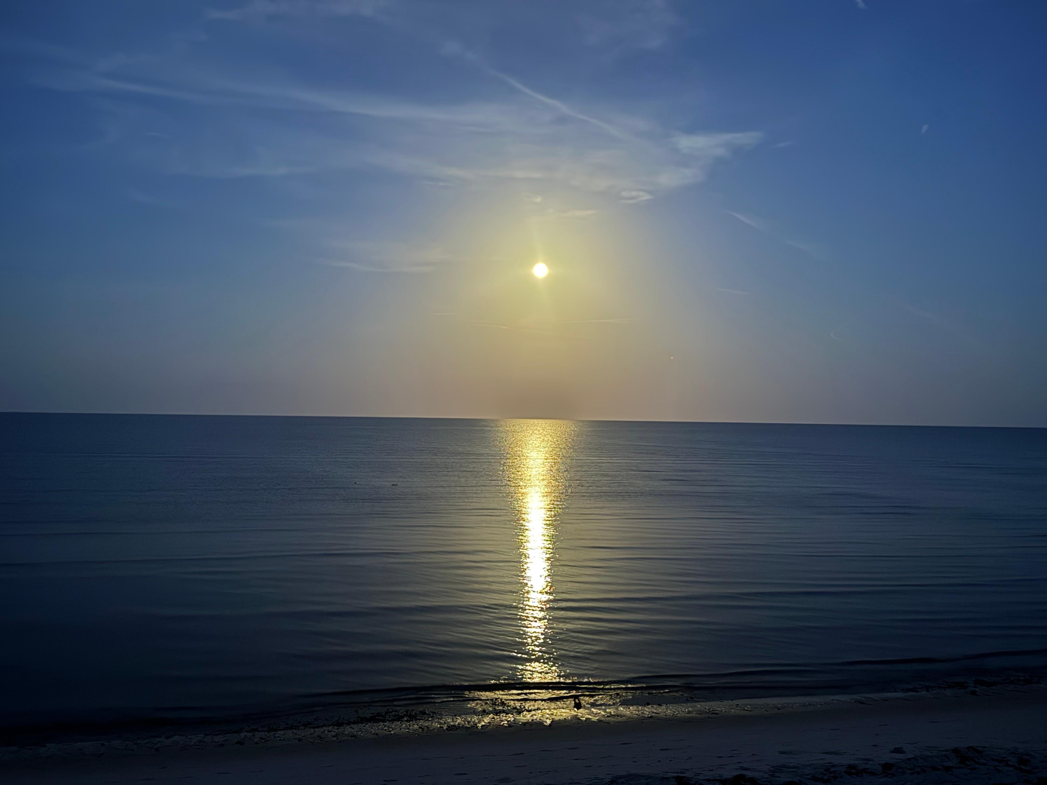 View of the moon from the house