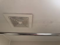 Mold in the shower