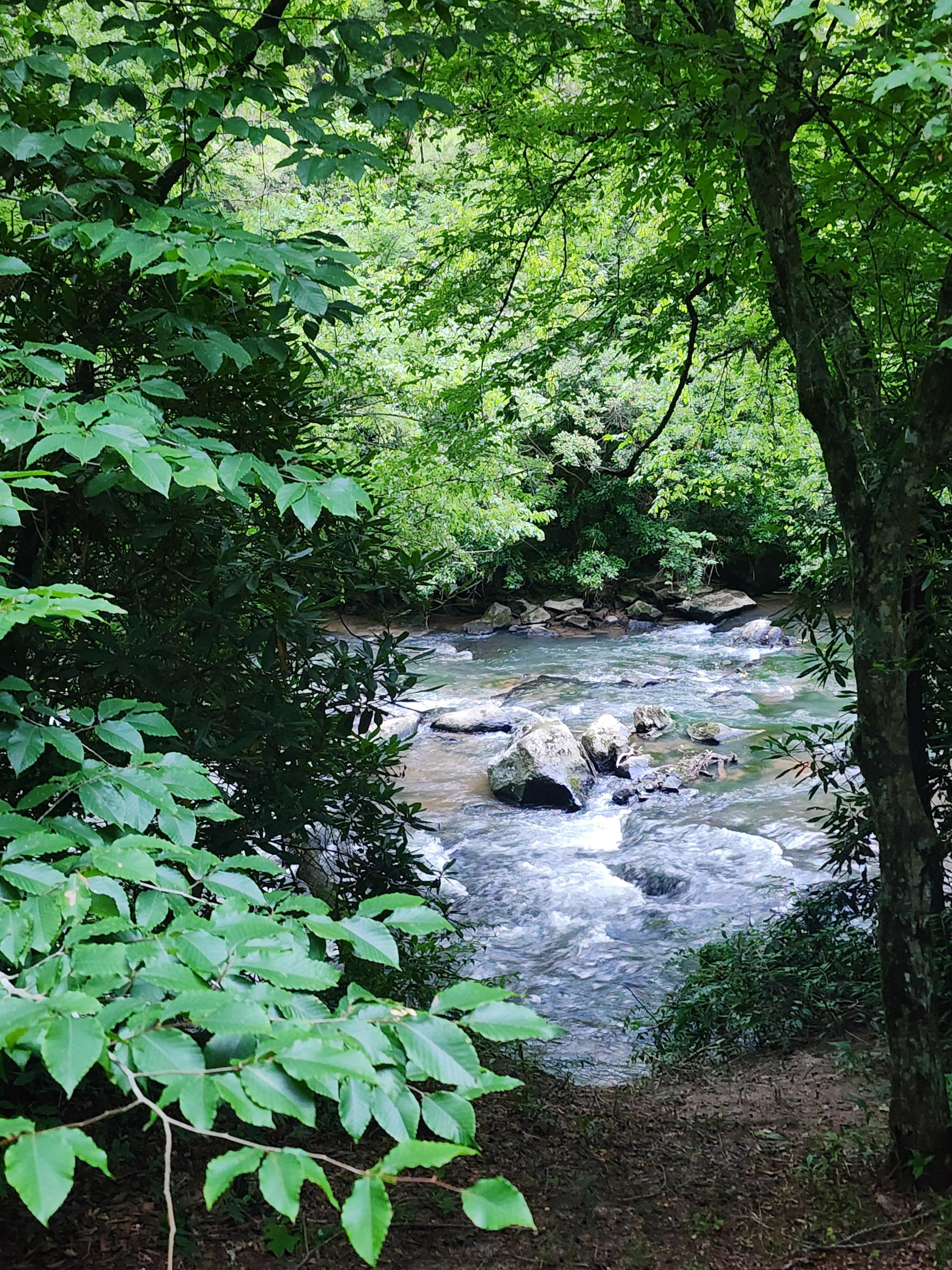 From the front porch view 
