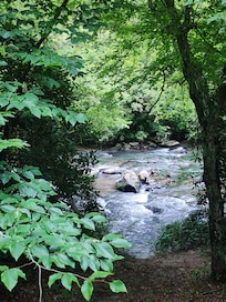 From the front porch view