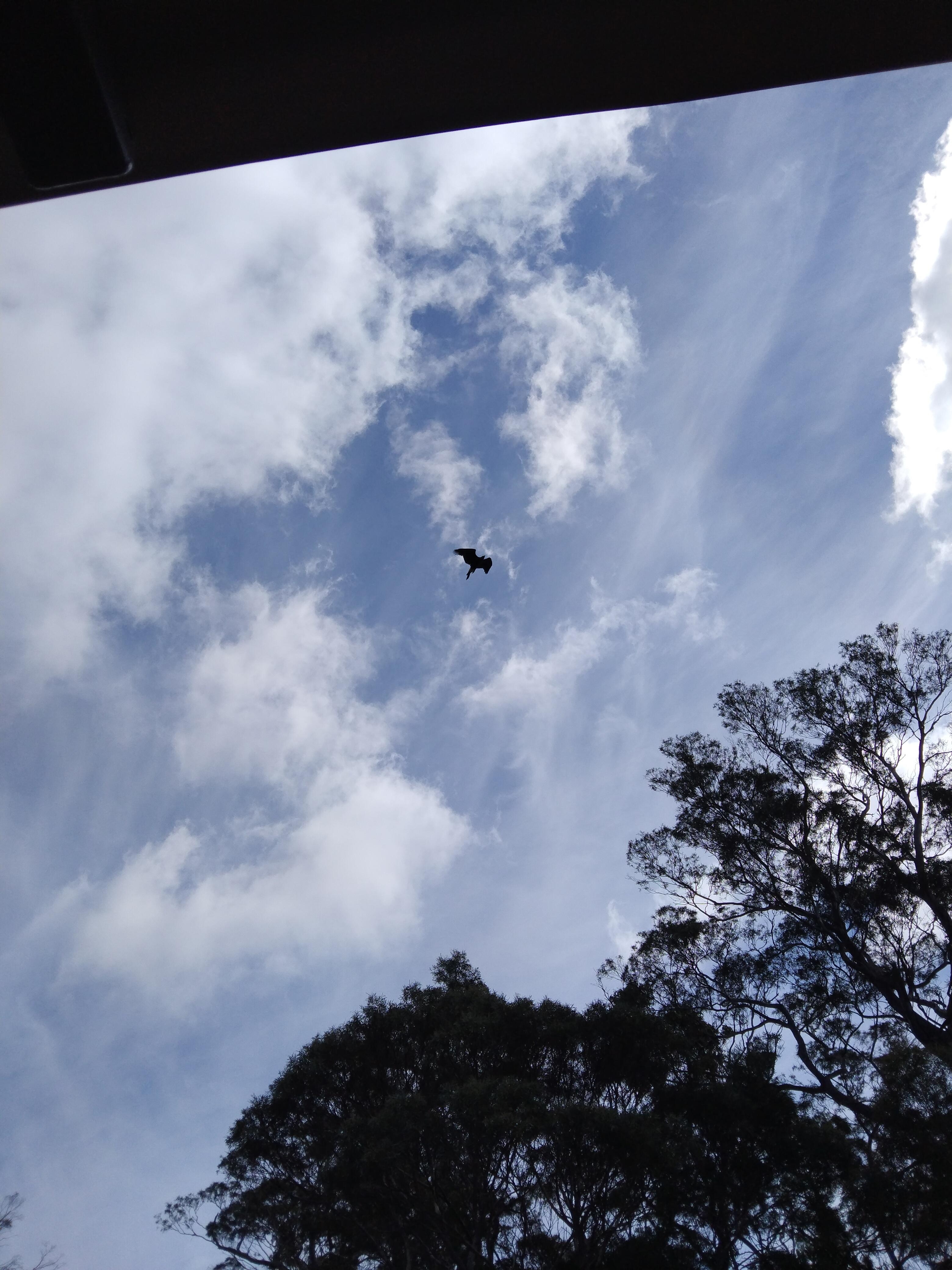 Great scenery, thumbs lookout is a must see.