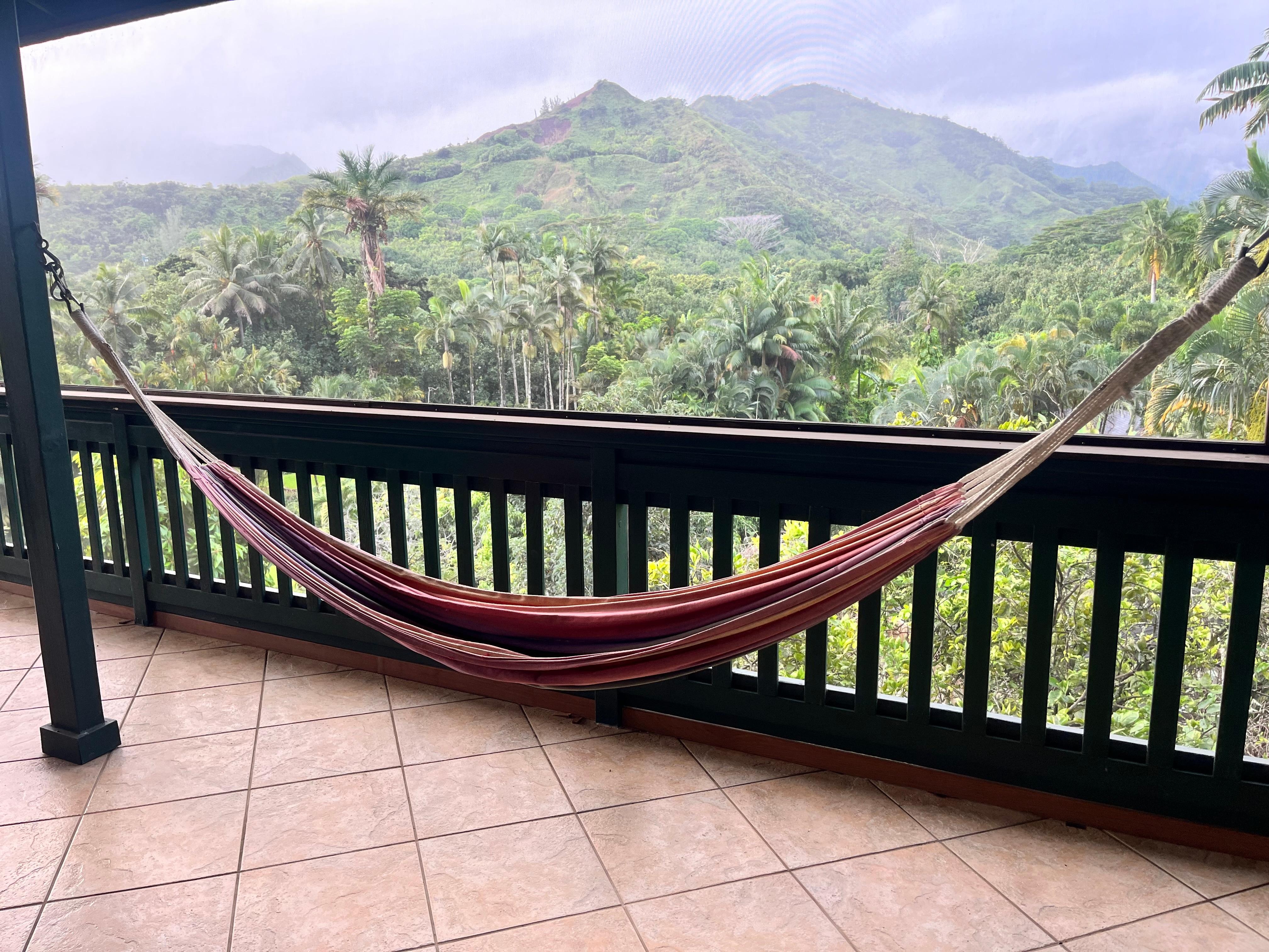 Hammock on the lanai