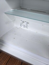 Schimmelflecken im KĂŒhlschrank