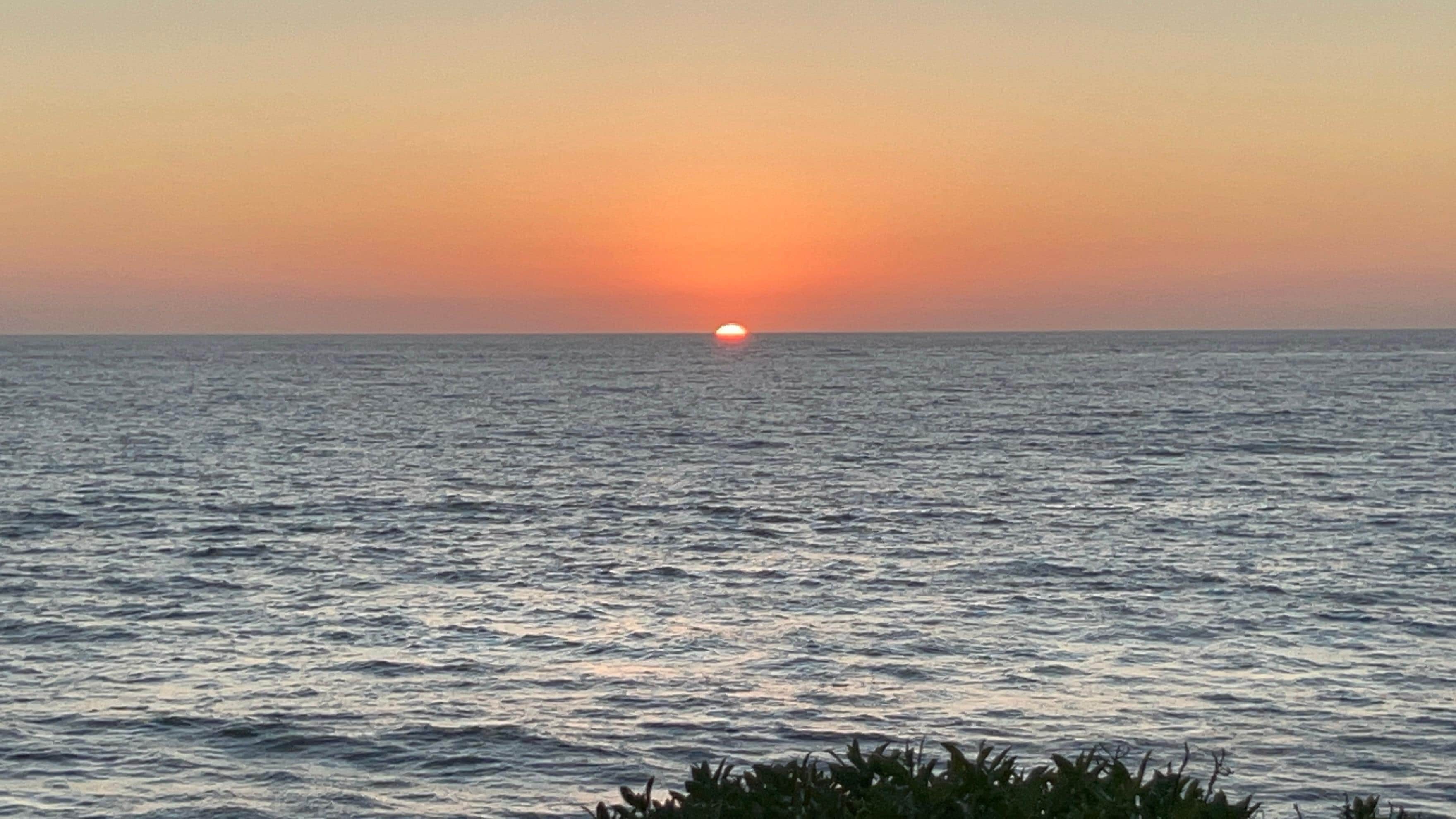 View from Windansea beach