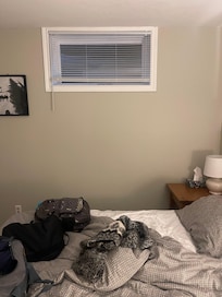 The windows are also too high to climb out of.