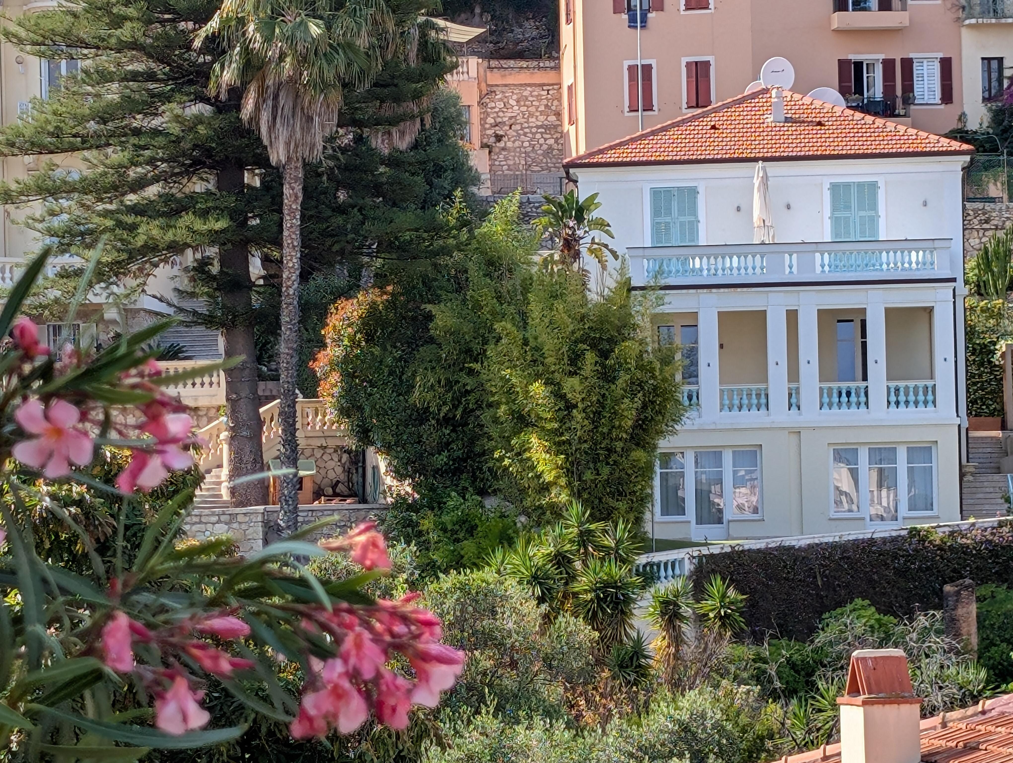 From the side terrace