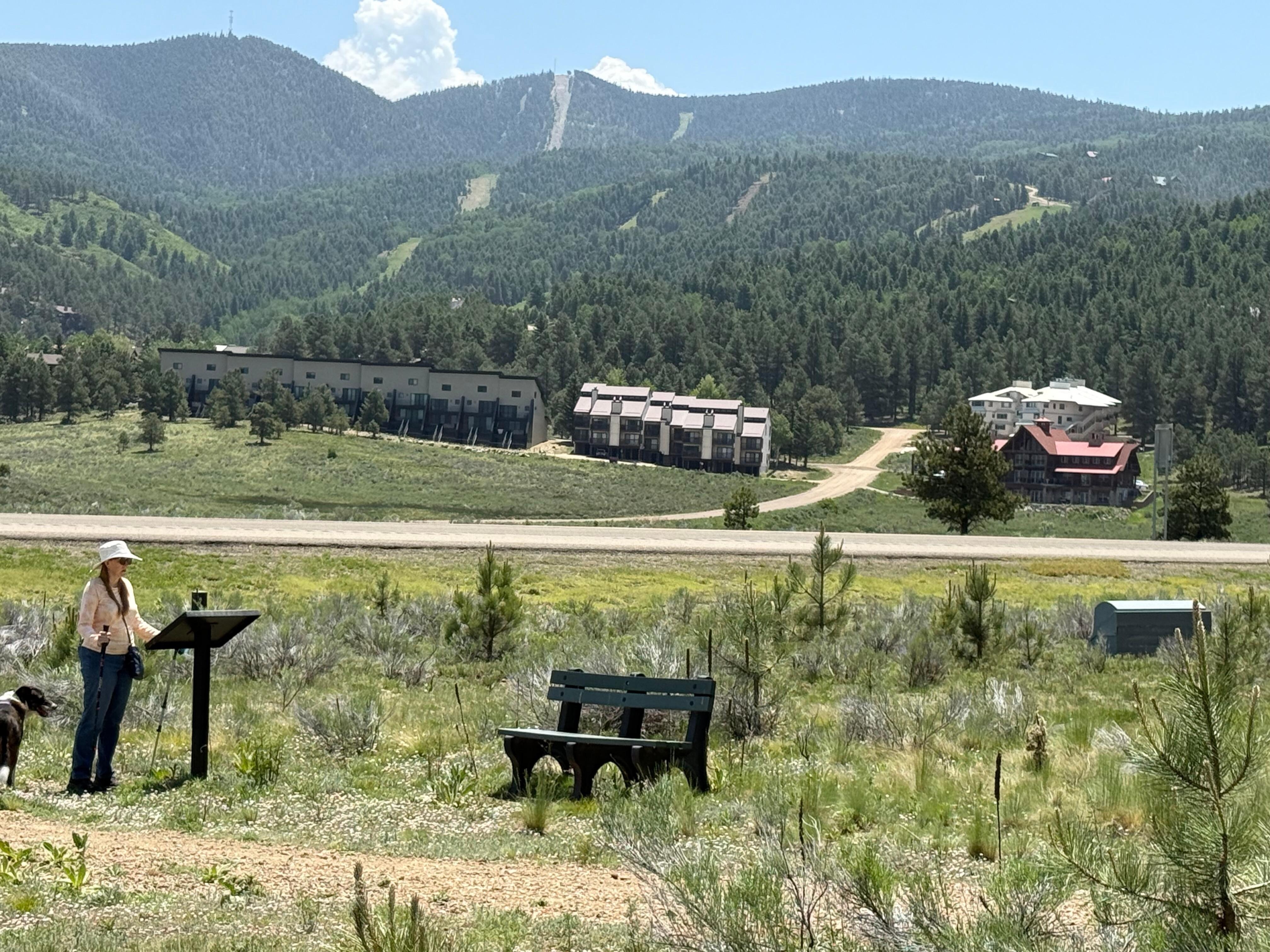 Ski slopes
