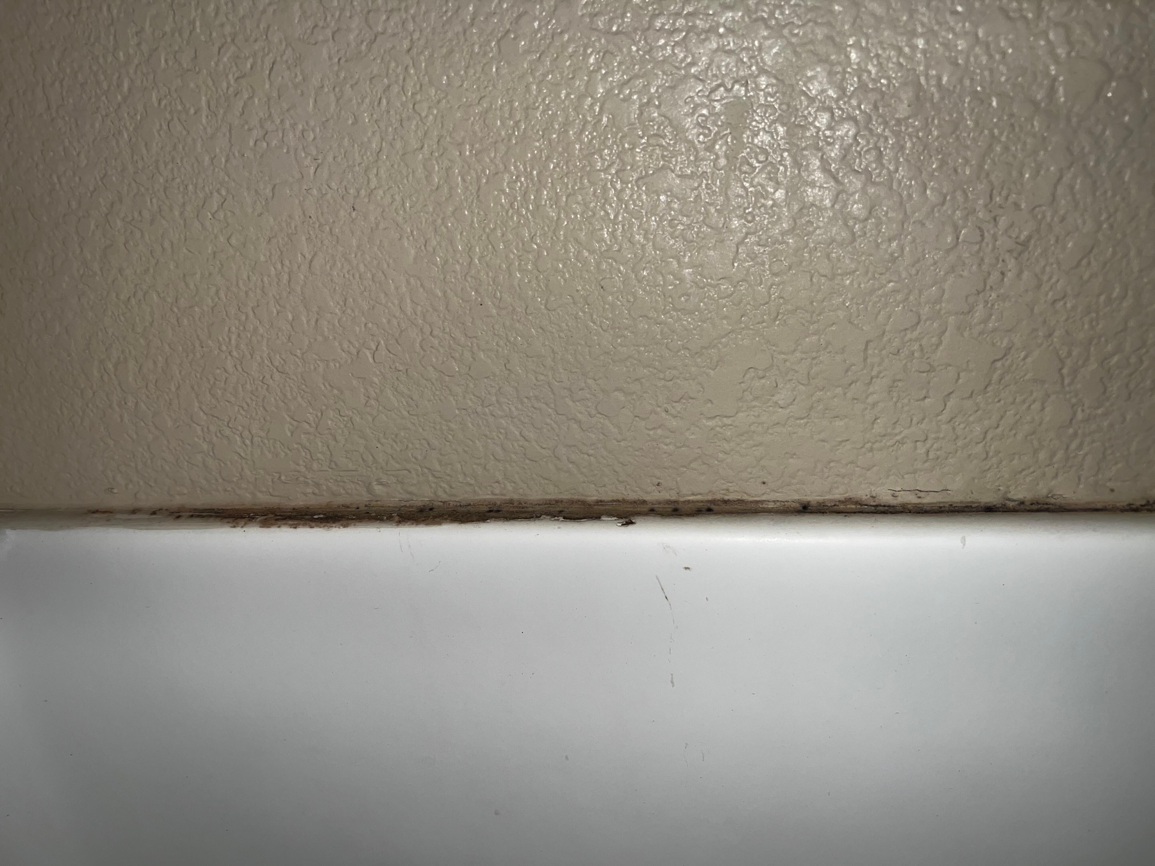 Mold in shower 