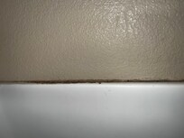 Mold in shower