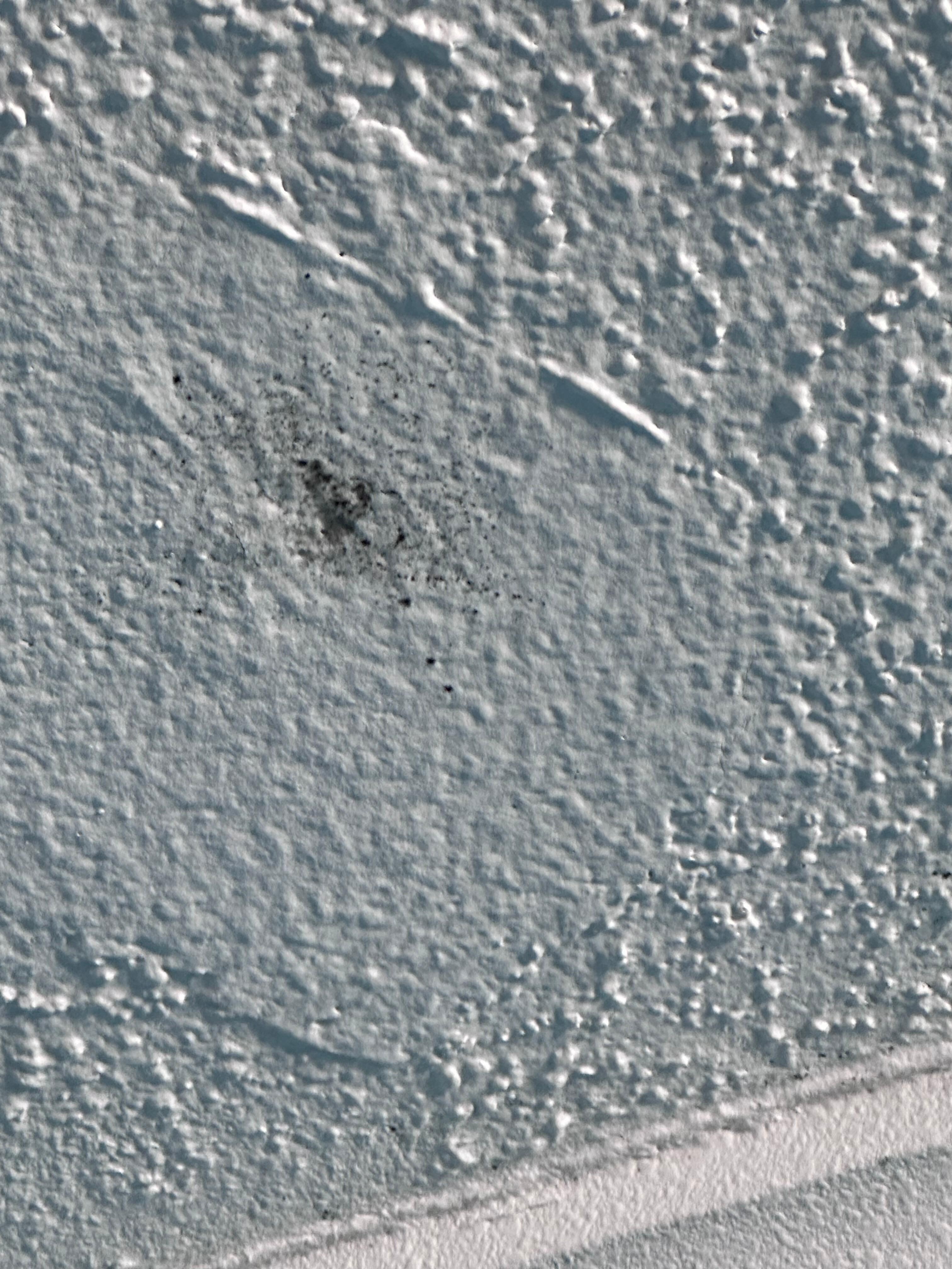 Mold on wall
