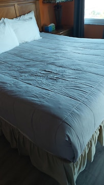 Looks like a dog has been sleeping on this for the past 10 years