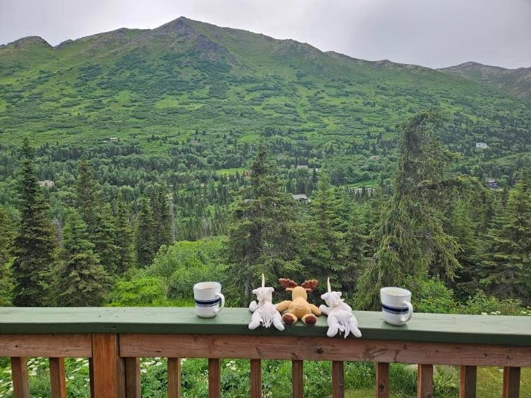 Eagle River cabin view (straight out front)