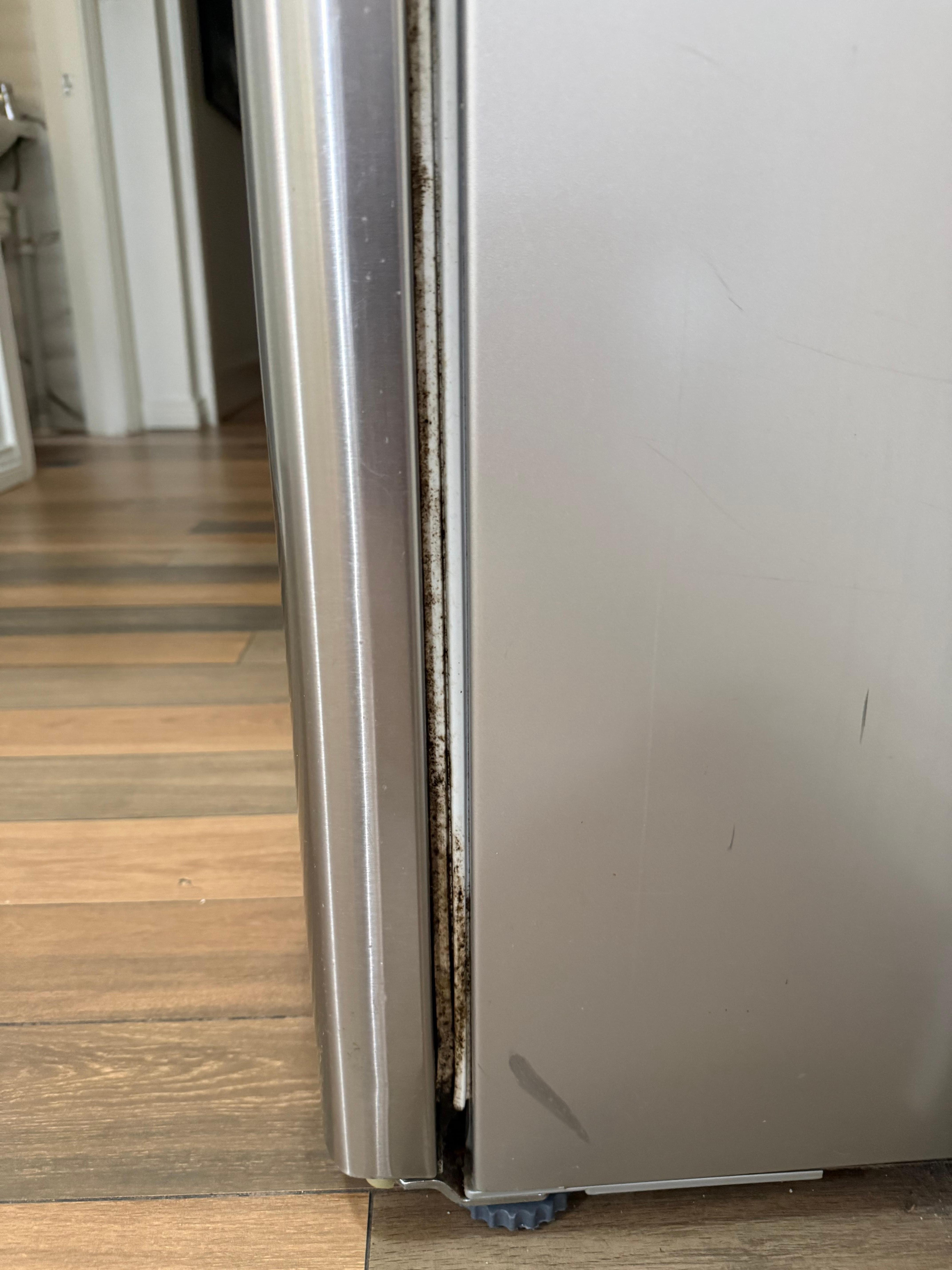 Mold on refrigerator 