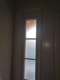Insect on the front door near the kitchen.