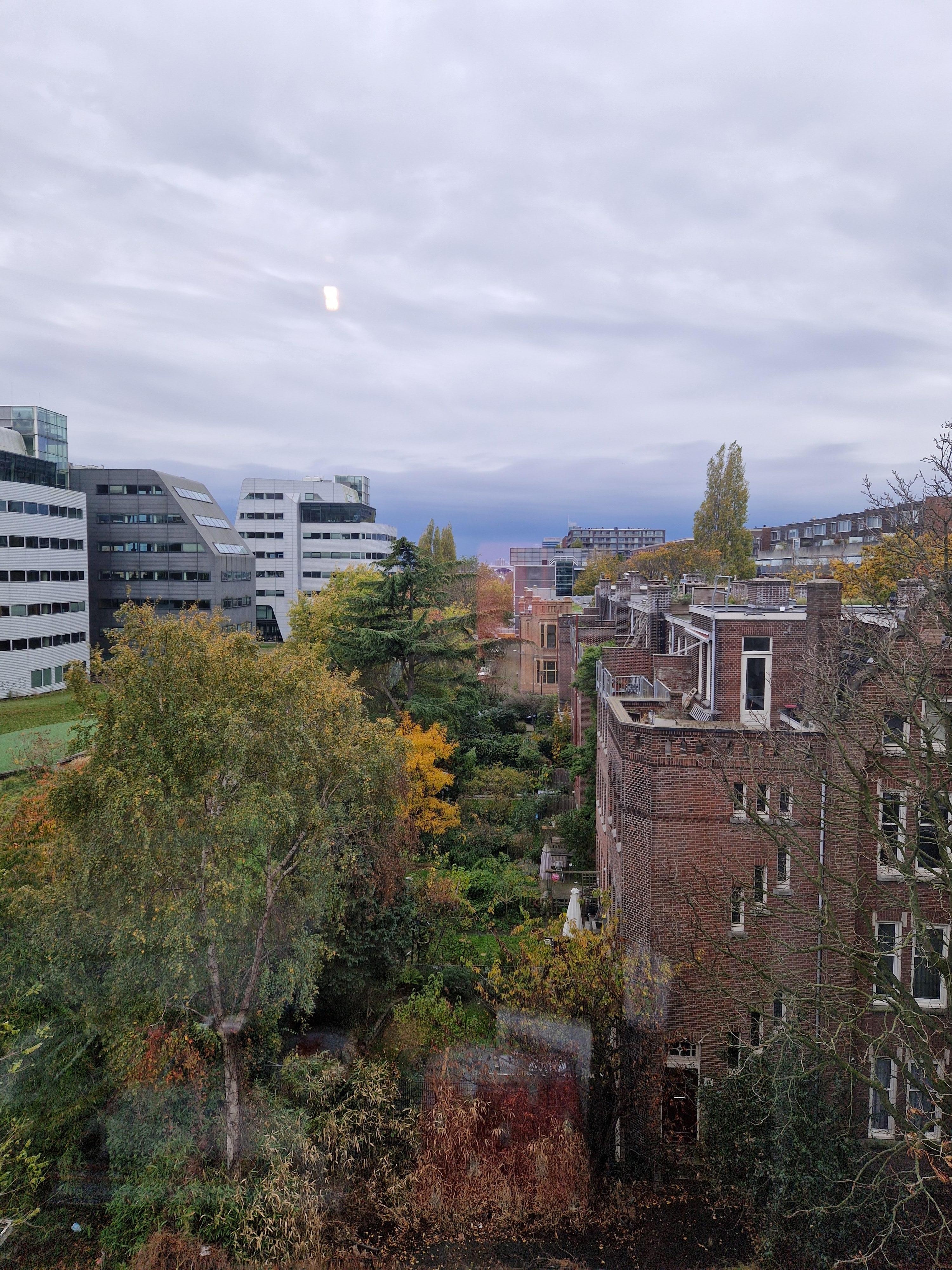 View from the 4th floor!