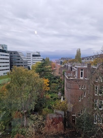 View from the 4th floor!