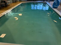Please clean your pool!