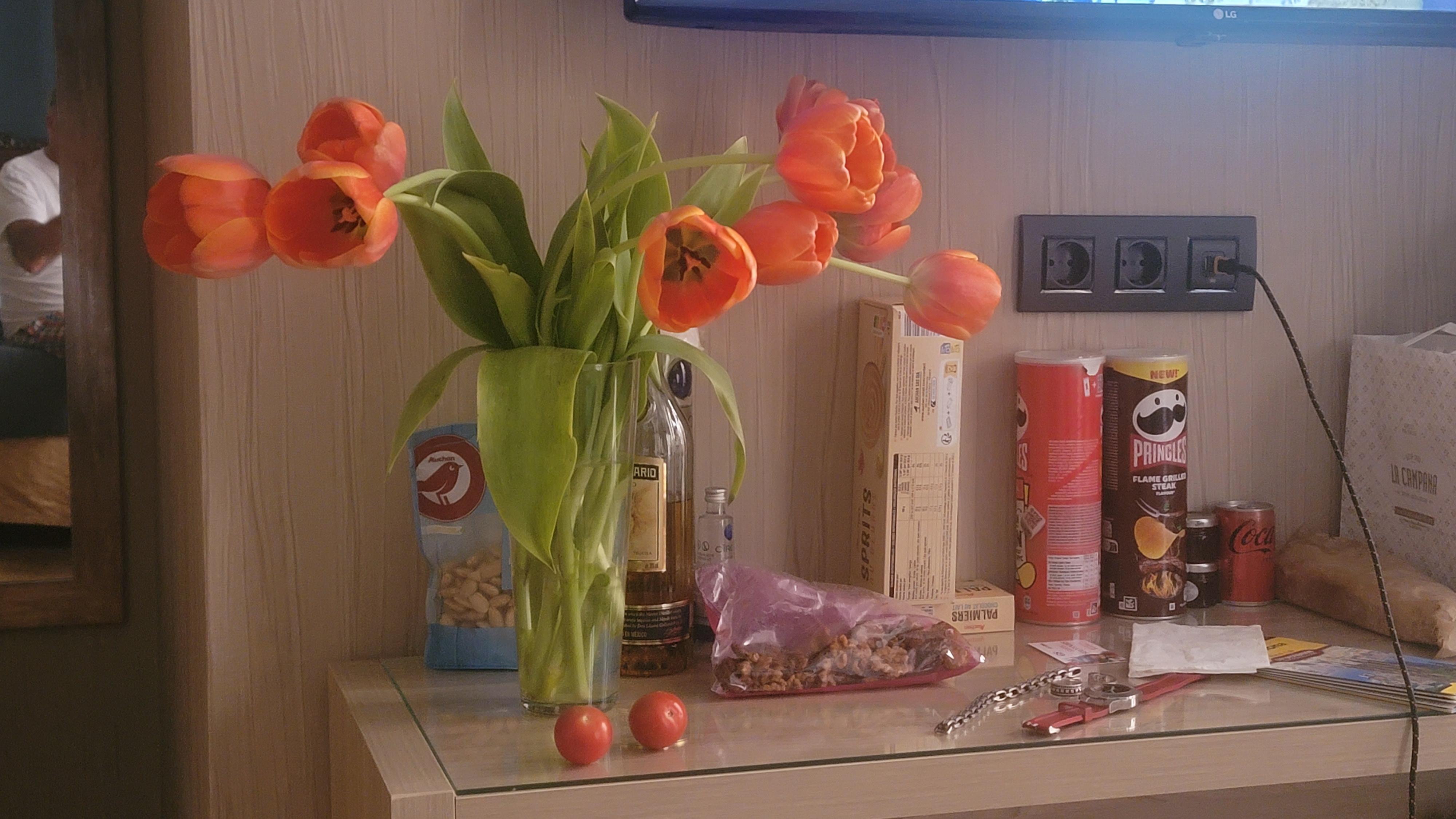 Flowers we bought for ourselves 