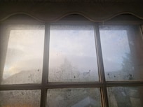 Flies in ensuite