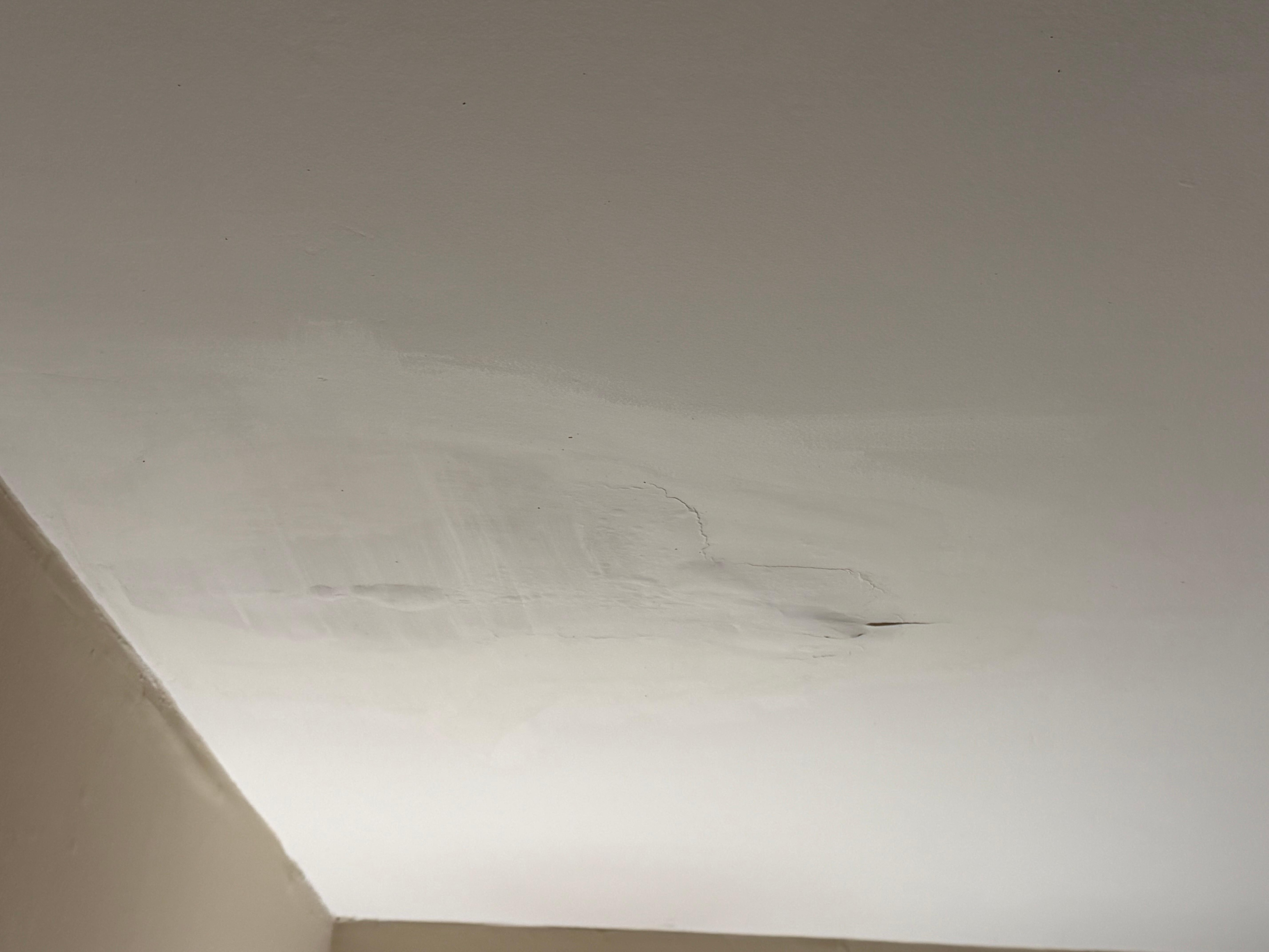 Ceiling where there had been a previous water leak.