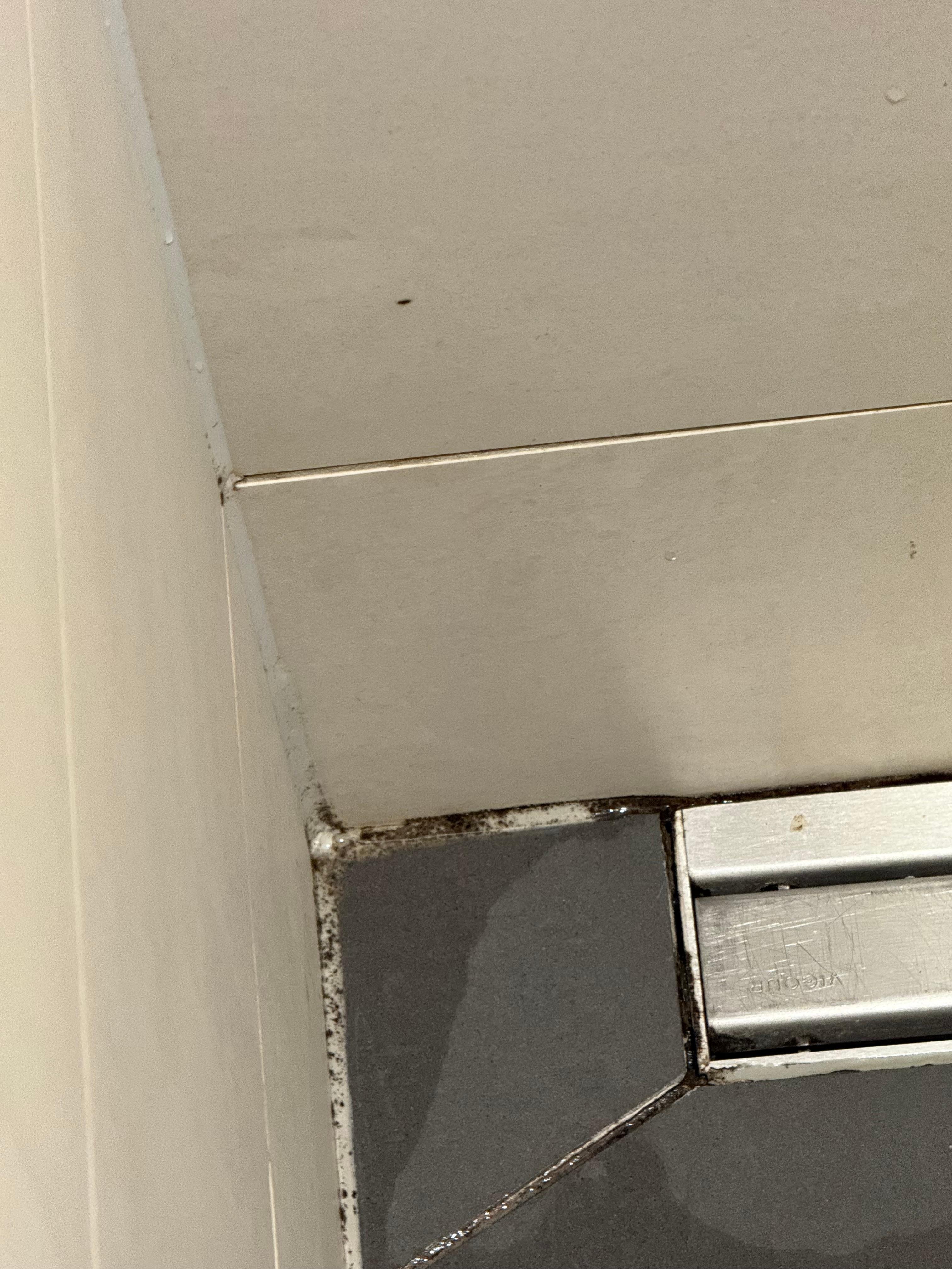 Schimmel in der Dusche