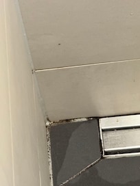 Schimmel in der Dusche