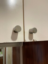 棚はトゲが出ています