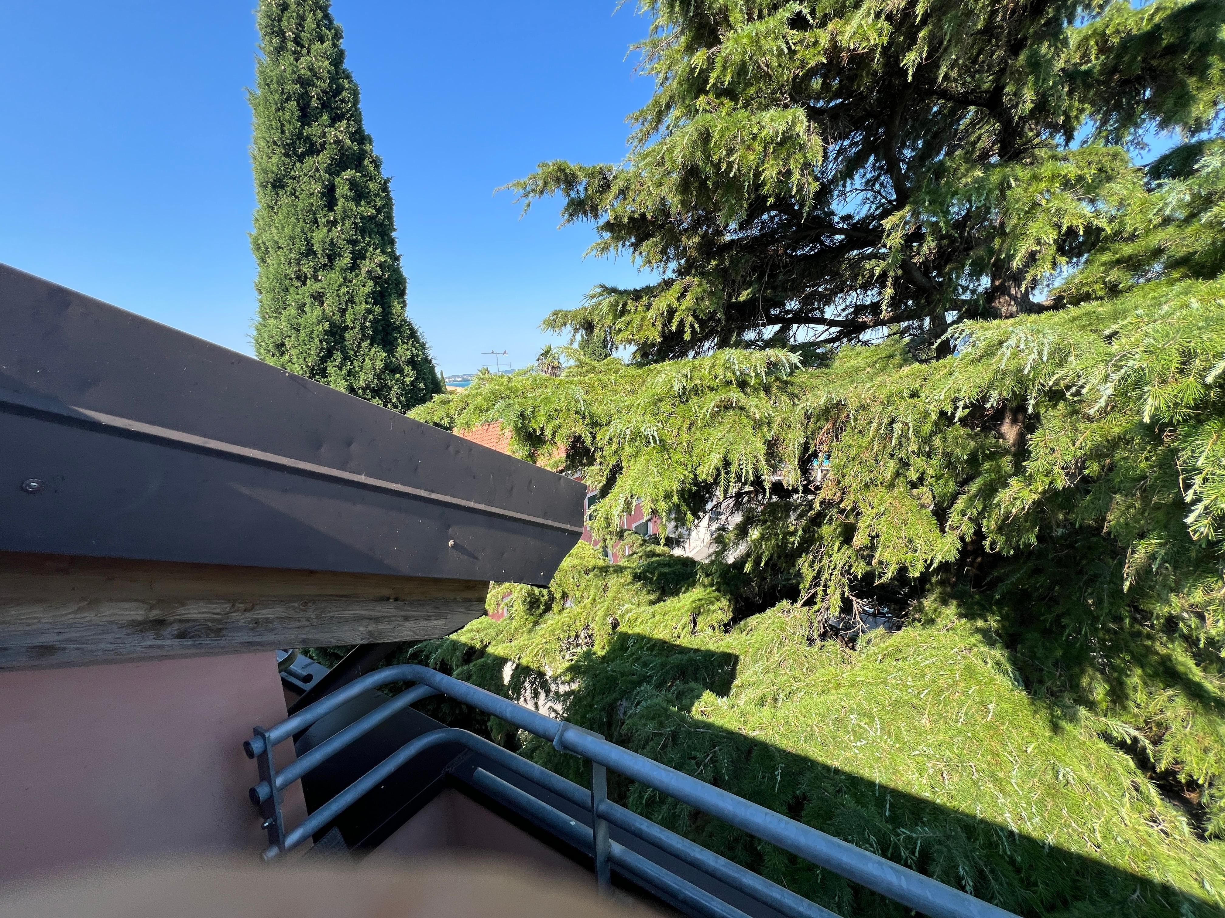 This hotel calls this partial lake view. Do not pay for it!